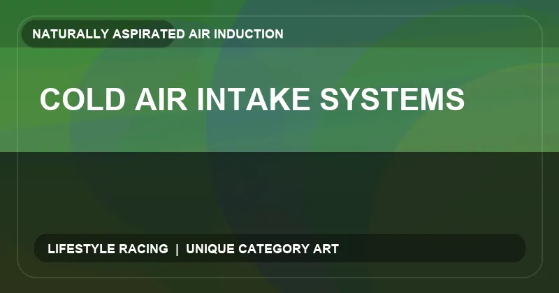 Cold Air Intake Systems
